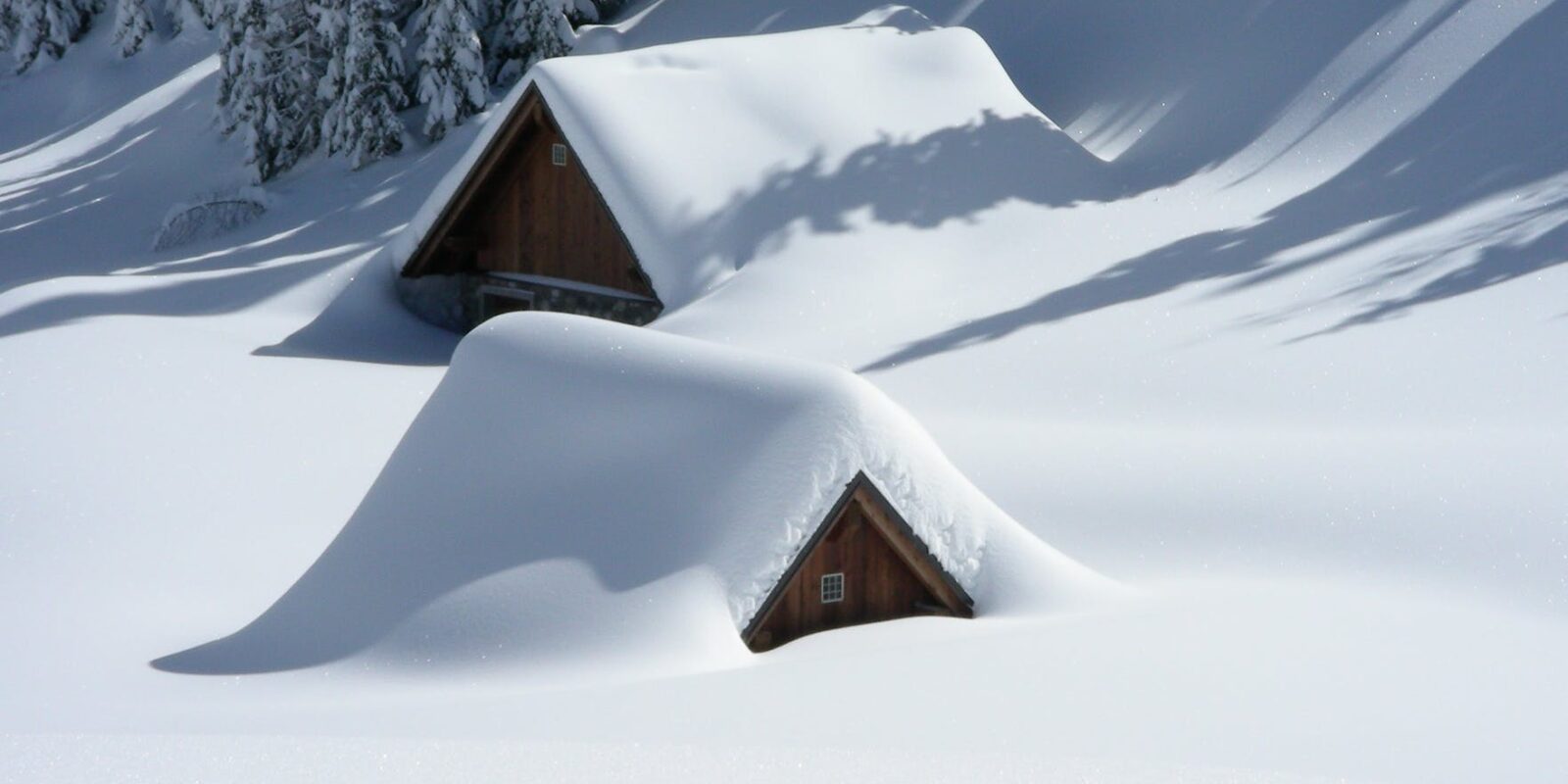 brown wooden house covered with snow near pine trees